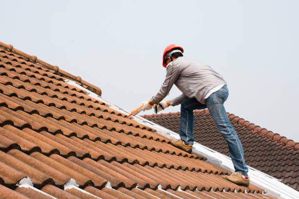 Best Roof Repair  in USA